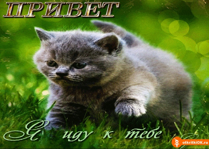 Открытки я еду к тебе, строить