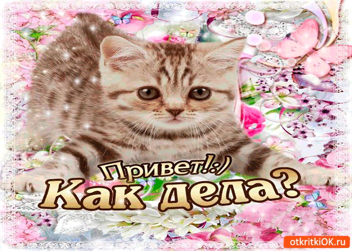 Открытка с надписью что делаешь, полевые цветы анимация
