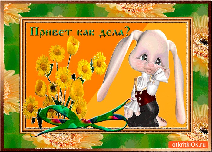 Прикольные высказывания, дорогой как дела картинки прикольные
