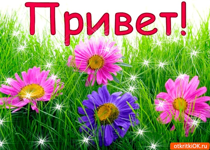 Привет коллегам открытки