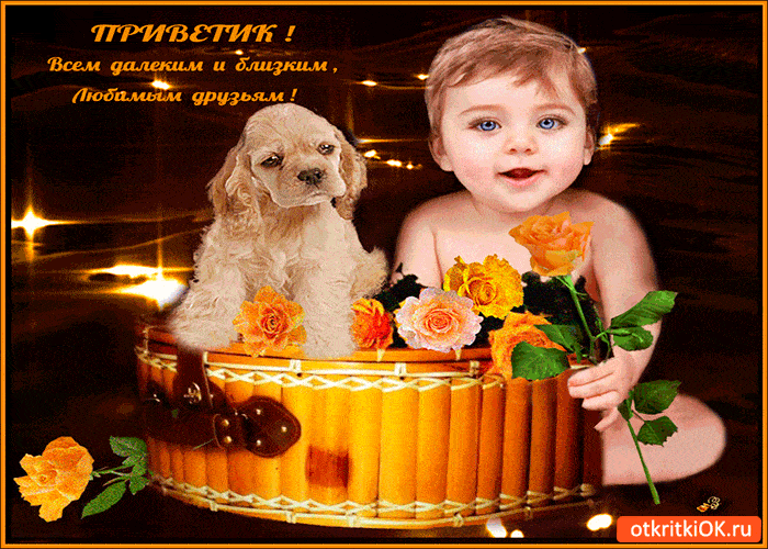 Прикольные гифки другу