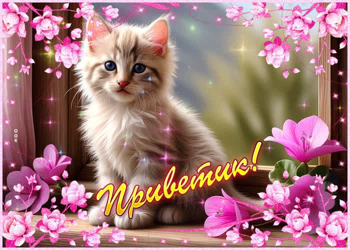 Picture привлекательная и очаровательная гиф-открытка с кошечкой приветик