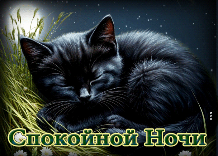 Picture приятная гиф-открытка с котиком спокойной ночи