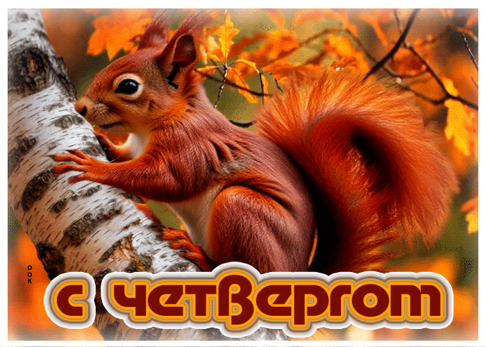 Picture приятная и гармоничная осенняя гифка с четвергом