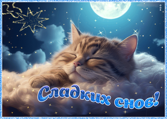 Picture приятная и удовлетворяющая открытка с котиком сладких снов