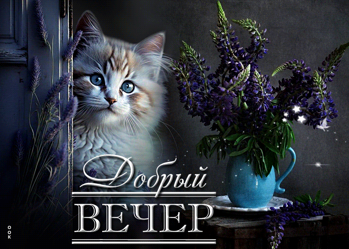 Picture приятная открытка с котиком добрый вечер!