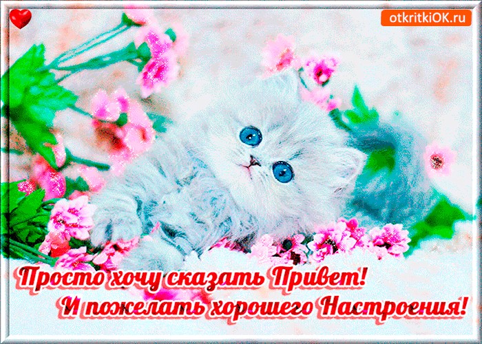 Открытка с пожеланием привета, снегири