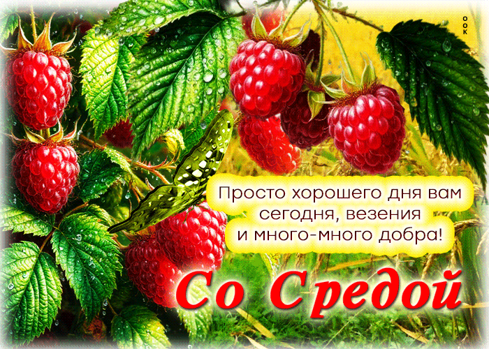 Postcard просто хорошего дня вам сегодня, везения и много-много добра