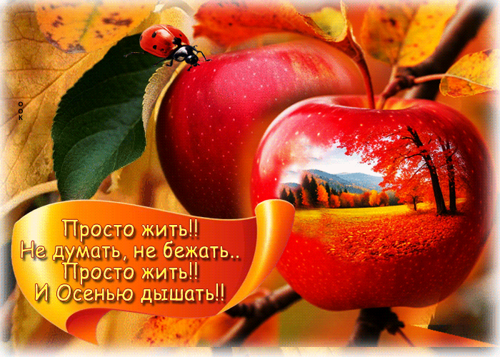 Postcard просто жить! и осенью дышать