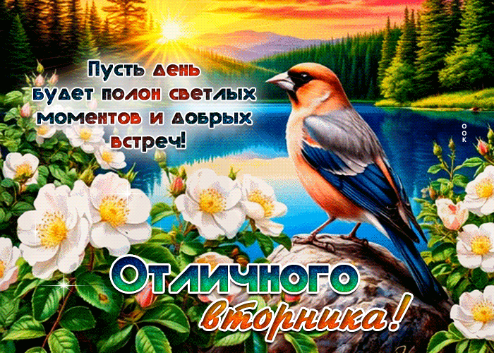 Postcard пусть день будет полон светлых моментов и добрых встреч!