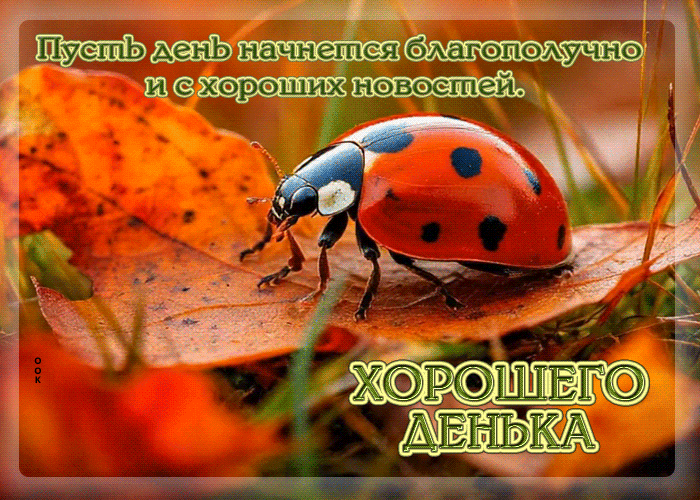 Picture пусть день начнется благополучно и с хороших новостей