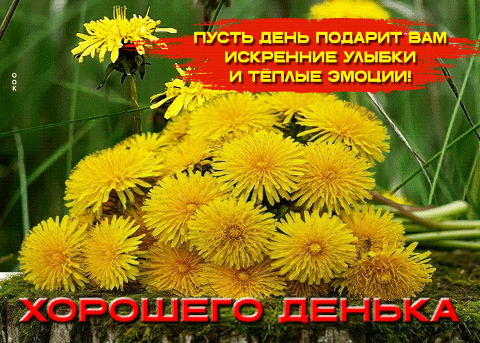 Postcard пусть день подарит вам искренние улыбки и теплые эмоции