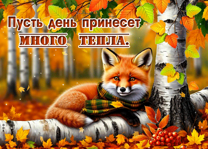 Picture пусть день принесет много тепла