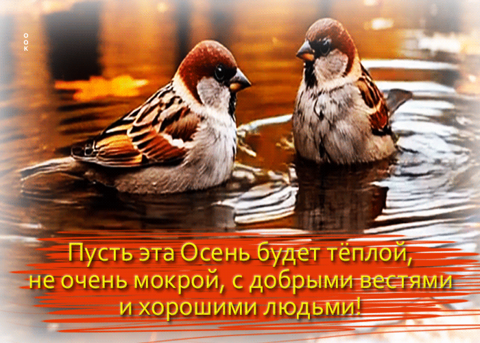 Picture пусть эта осень будет теплой, не очень мокрой