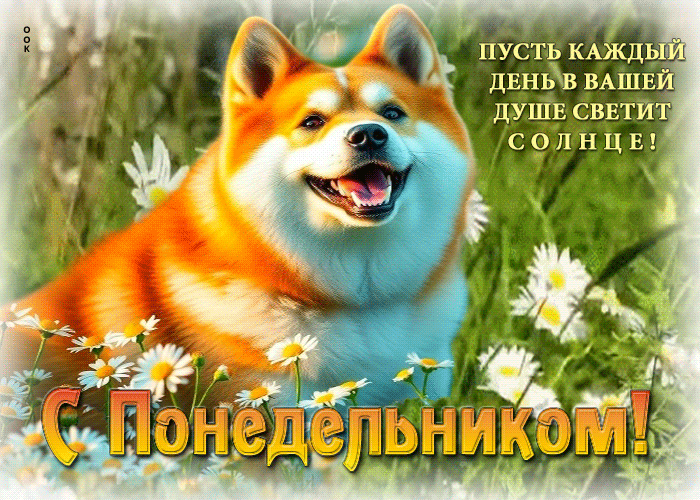Postcard пусть каждый день в вашей душе светит солнце! с понедельником
