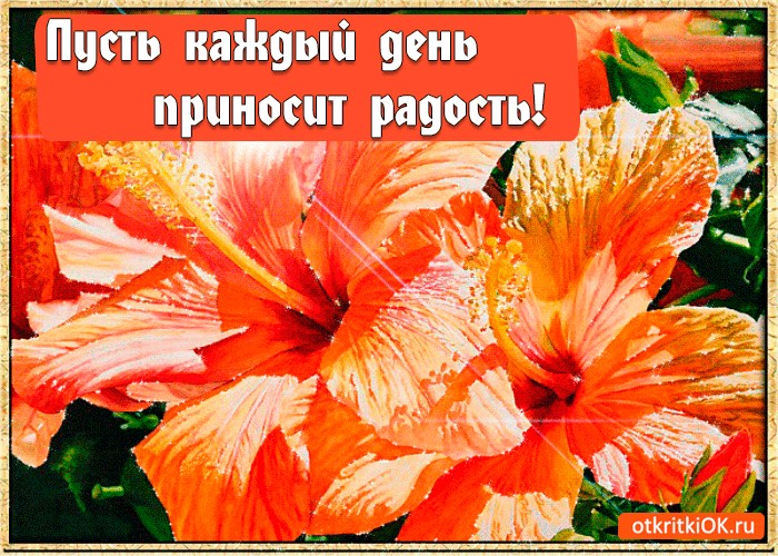Года открытки, открытки добра и радости в каждый твой день
