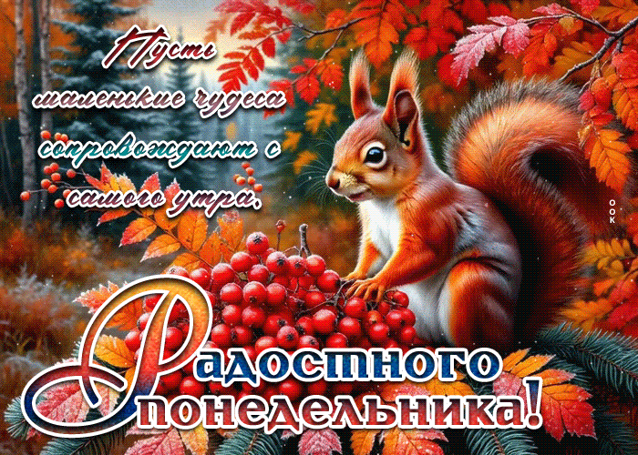 Postcard пусть маленькие чудеса сопровождают с самого утра