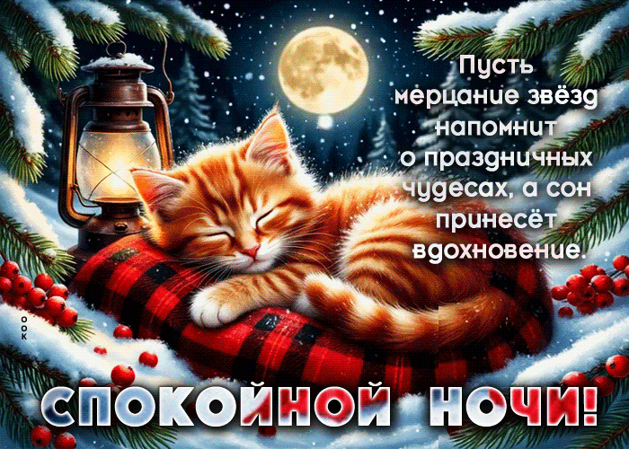 Picture пусть мерцание звезд напомнит о праздничных чудесах