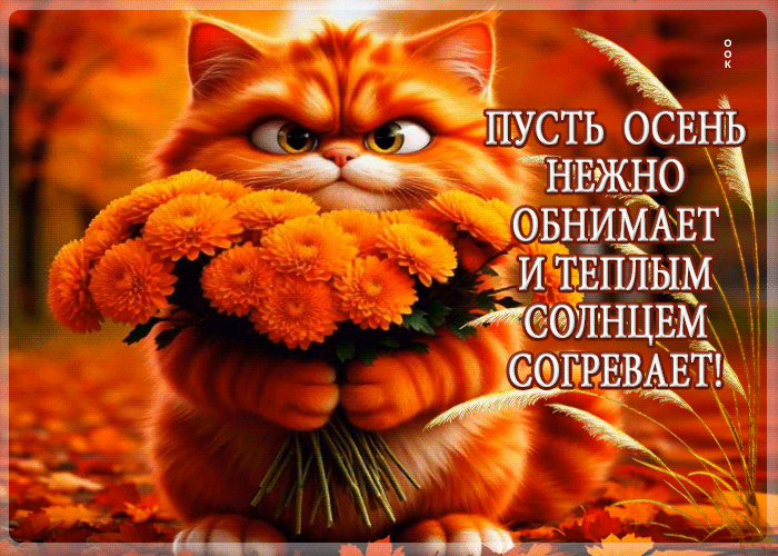 Postcard пусть осень нежно обнимает и теплым солнцем согревает
