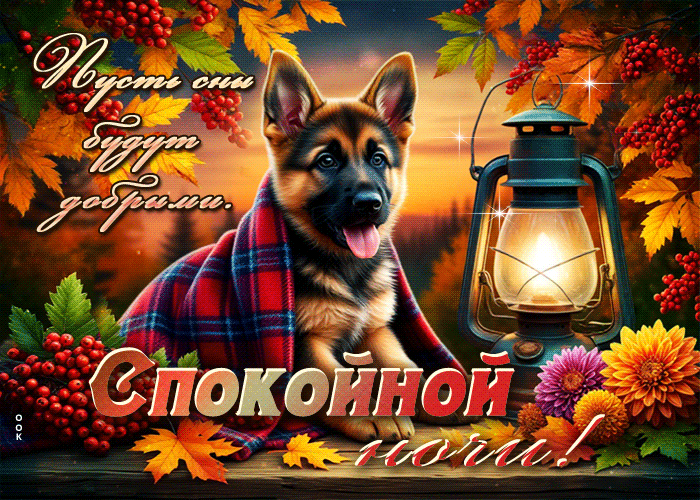 Picture пусть сны будут добрыми! спокойной ночи