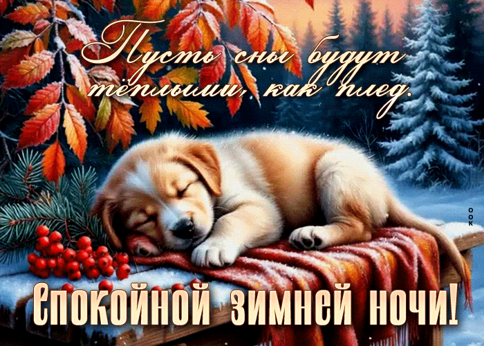 Picture пусть сны будут теплыми, как плед