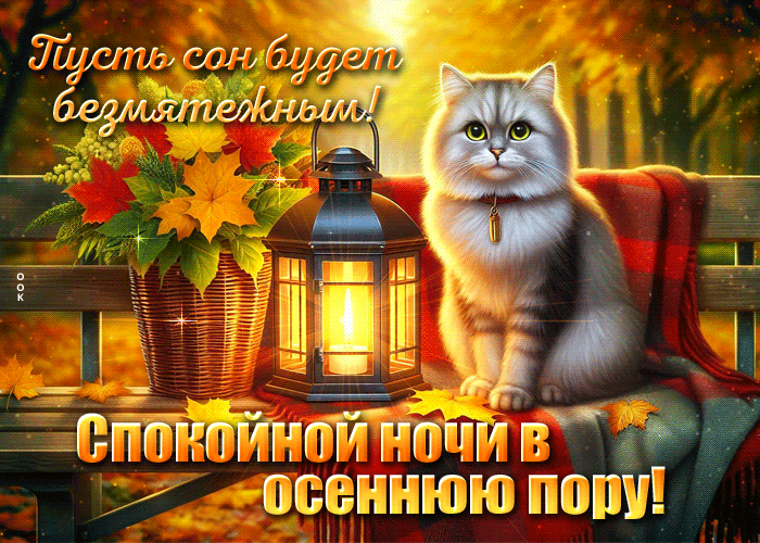 Picture пусть сон будет безмятежным! спокойной ночи в осеннюю пору