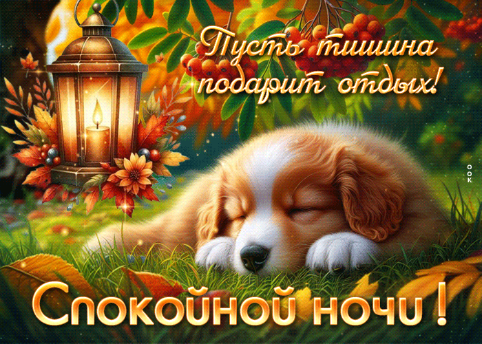 Postcard пусть тишина подарит отдых! спокойной ночи