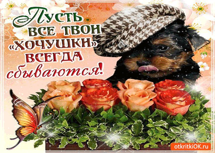 Февраля, картинки пусть твои мечты всегда сбываются