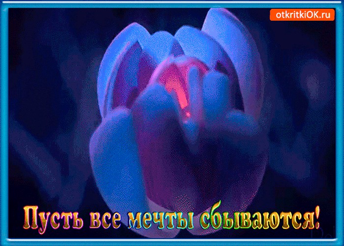 Картинка мечты сбываются гифки, открытки