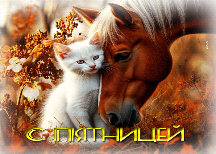 Postcard пёстрая осенняя гифка с пятницей