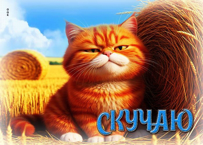 Postcard радующая гифка с  милым котом скучаю