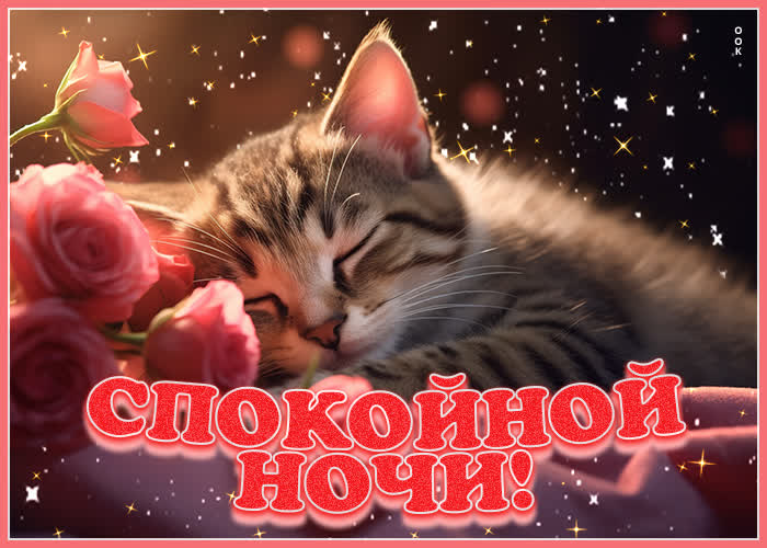 Picture расслабляющая открытка с котиком спокойной ночи