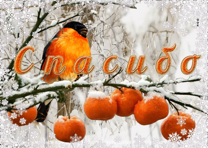 Picture романтичная зимняя открытка с птичкой спасибо