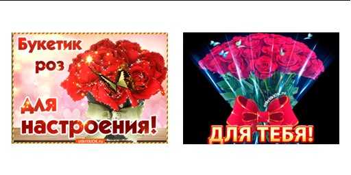 Картинка roses