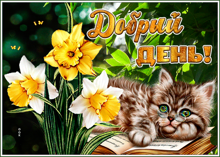 Postcard роскошная открытка с котиком добрый день!