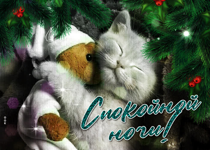 Picture роскошная открытка с котом и мишкой спокойной ночи!
