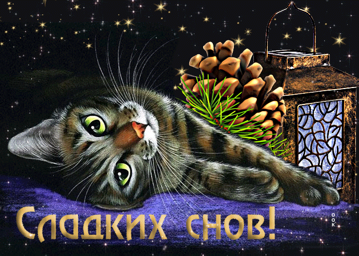 Picture роскошная открытка с красивой кошкой сладких снов!