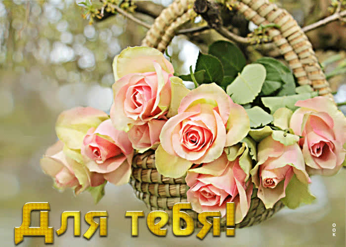 Picture роскошная открытка с нежными розами для тебя!