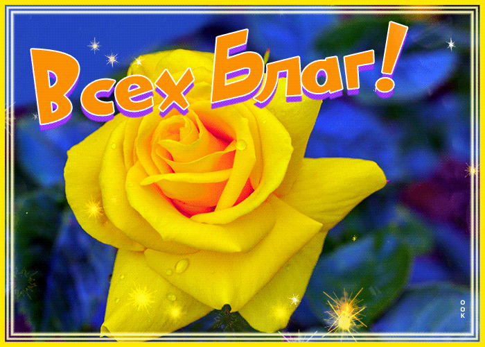 Picture роскошная открытка с желтой розой всех благ!