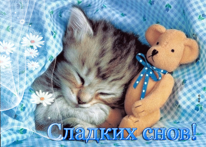 Postcard роскошная открытка сладких снов! с котенком и игрушкой