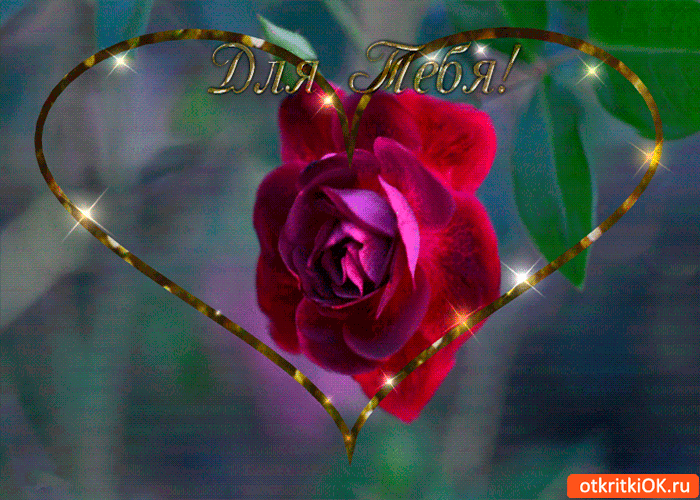 Картинка роза чудесная для тебя