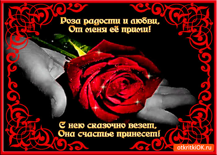 Картинка роза счастье принесёт