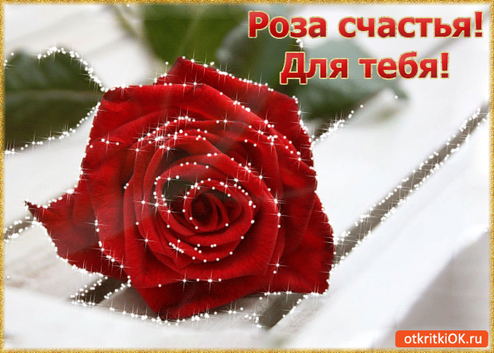 Открытка роза счастья! для тебя!