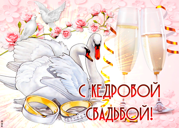 Поздравления на Кедровая свадьба (49 лет) в прозе - Поздравления и тосты