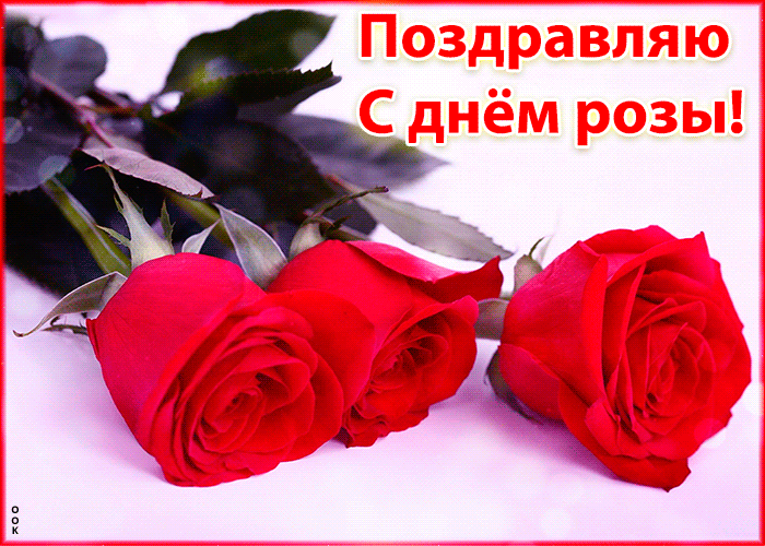 Картинка открытка с праздником день розы
