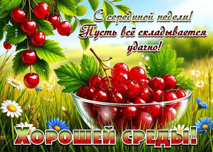 Picture с серединой недели! пусть все складывается удачно!