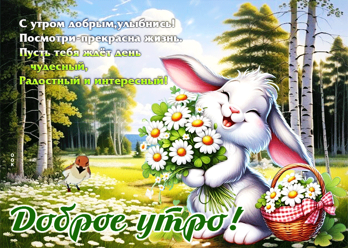 Postcard с утром добрым, улыбнись! посмотри - прекрасна жизнь