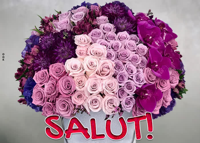 Salut- Скачать бесплатно на otkritkiok.ru