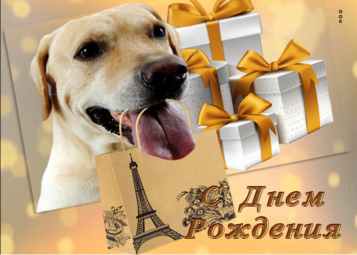 Postcard сентиментальная и искренняя гиф-открытка с собачкой с днем рождения