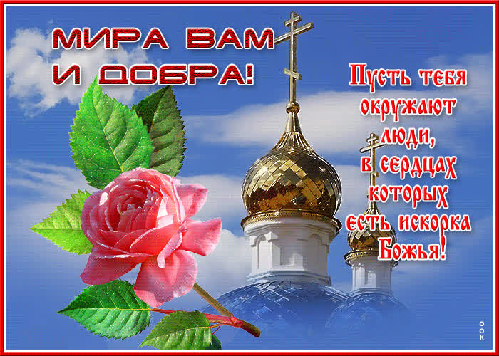 Шикарная открытка Мира Вам и добра!- Скачать бесплатно на otkritkiok.ru